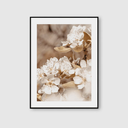 Beige Botanical Wall Art Prints Bedroom Living Room Posters Pictures Home Decor